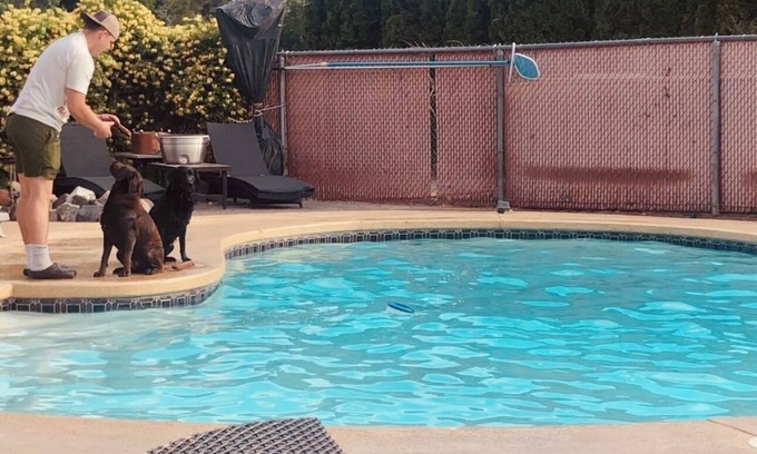 Tri-Cities House | Pet Friendly Rancho Reata Retreat