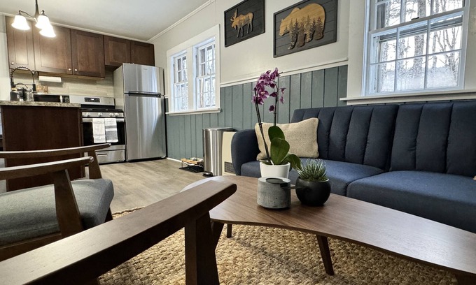 Bartlett Cottage | Pet-friendly rustic ski cottage! nNH Wooded Oasis, one mile to large Ski Resort!