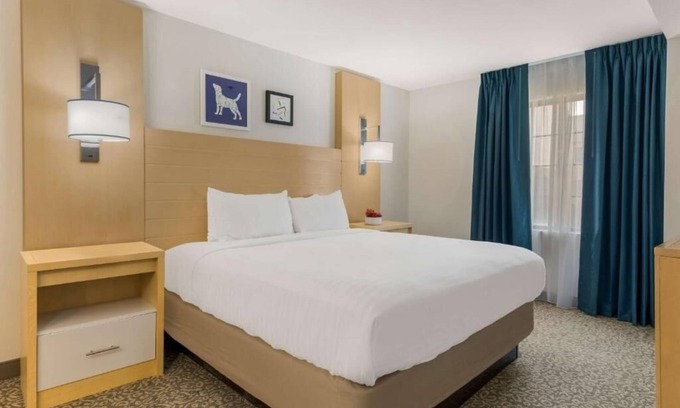 Arrowood Hotel | Pet Friendly Stylish Suite with Apartment-Style Comfort Near Charlotte Hotspots