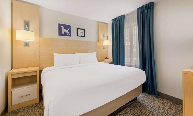 Arrowood Hotel | Pet-Friendly Suite Designed for Convenience Close to Charlotte's Top Spots