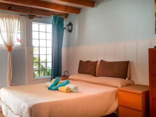 Arenas del Mar House | Petunia 75