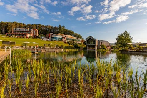 Dahn Hotel | Pfalzblick Wald Spa Resort