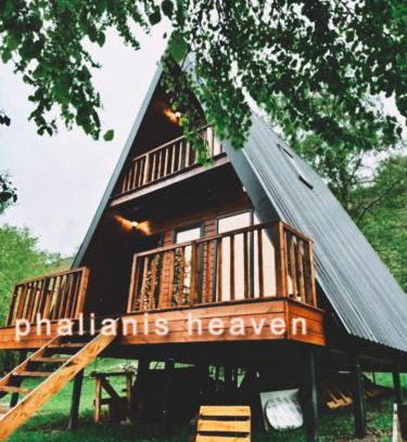 Vake-Saburtalo Ski Chalet | Phaliani's Heaven