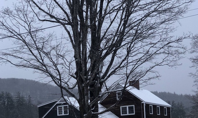Chester House | Picturesque VT Farmhouse on 12 Acres, near 4 major ski areas and VSF Horse Show