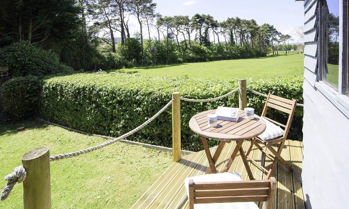Old Cleeve Cottage | Pine in Cleeve Park Near Blue Anchor