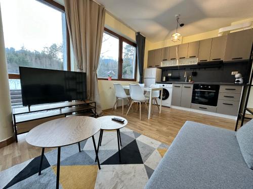 Shiligarnika Apartment | Pine Tree - charming apartment