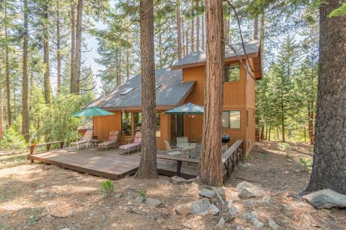 Camp Connell House | Pinetree Paradise