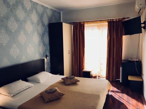 Baile Herculane House | Pinul Negru