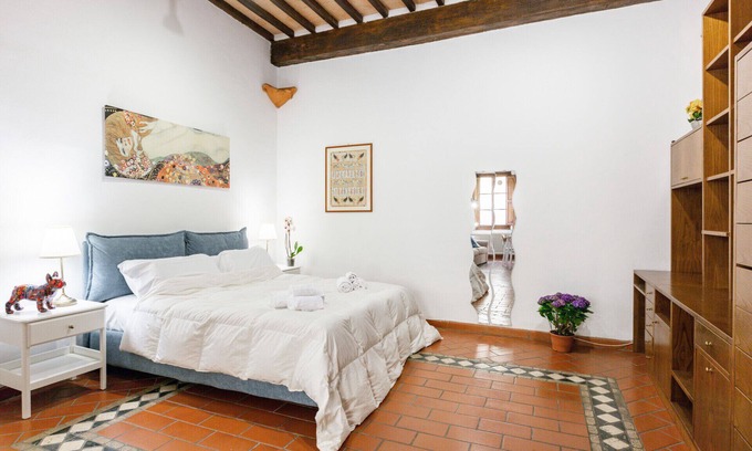 Pisa City Centre Apartment | Pisa Stylish Loft in the City Center