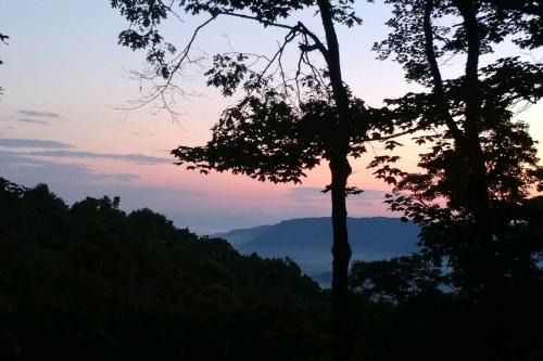 Pisgah Forest House | Pisgash Cottage
