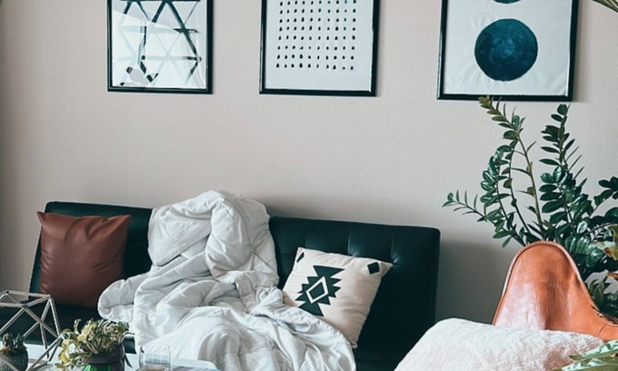 Hillcrest Condo | Plant Lover’s Bachelor Pad