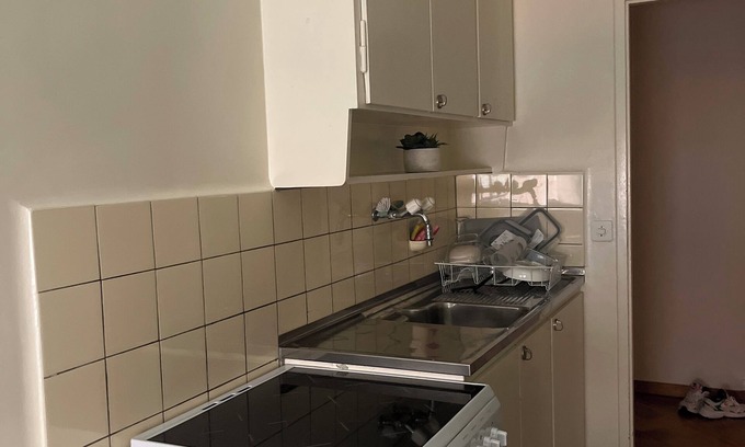 Wilson Apartment | Pleasant apartment in the center of Geneva. Close to lake, station and amenities