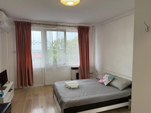 Ploiesti Apartment | Ploiesti Central Point