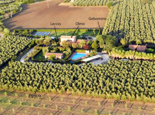 Castagneto Carducci House | Podere Campi al Mare