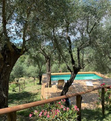 Massarosa Villa | Podere Il Piantoneto