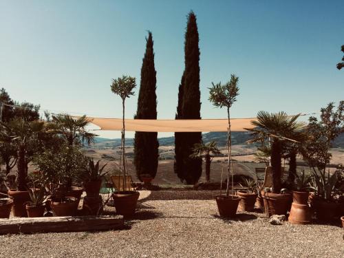 Morrona Apartment | Poggio Magginga