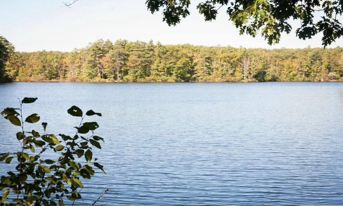 York House | Pond side get away