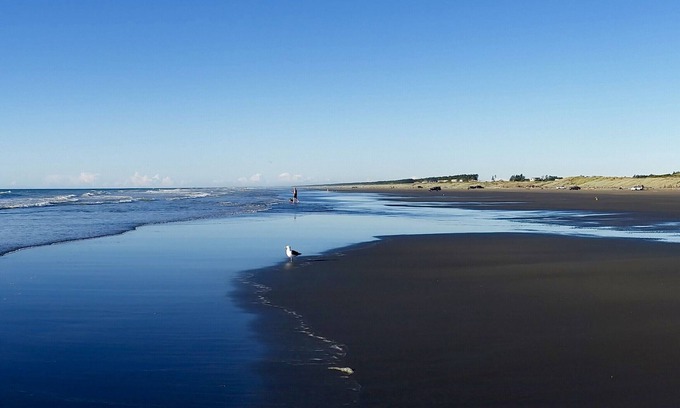 Waitarere Beach Cottage | Ponderosa - Waitarere Beach Bach