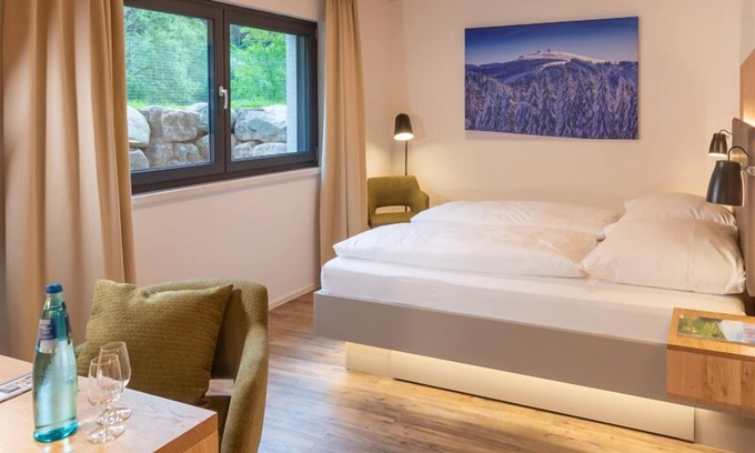 Oberried Apartment | Premier double room Basement with 2 beds, max. 2 persons
