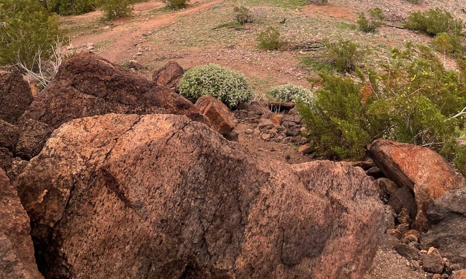 Estrella Mountain Ranch House | Premium lot. Mountain views. Beautiful landscaping and outside living.