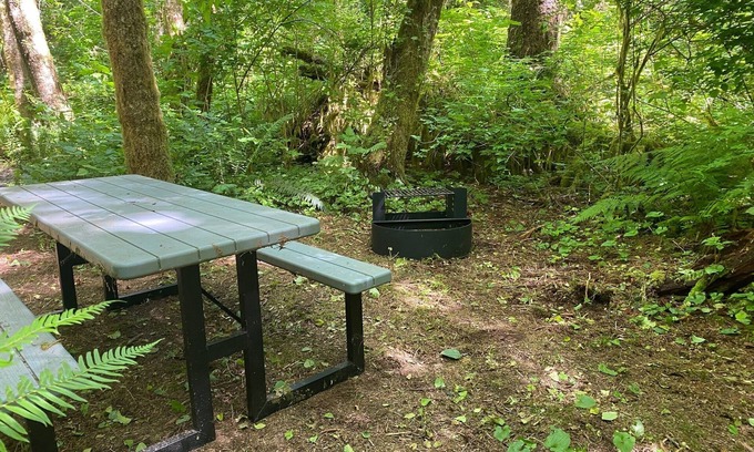 Forks RV Rental | Primitive Tent Site in Enchanted Rain Forest - Site #21