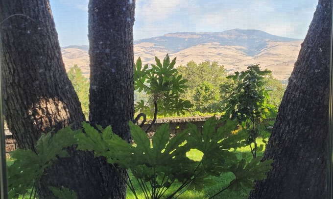Ashland Apartment | Private and quiet luxury studio suite on three acres overlooking Ashland.