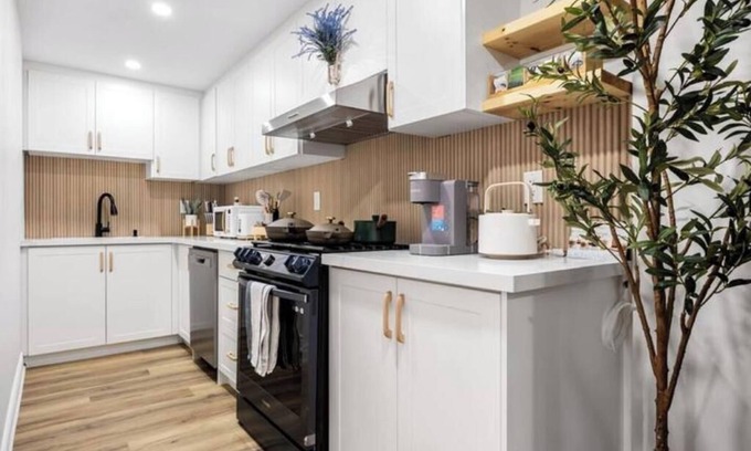 Hamilton Apartment | Private Brand New Basement with Side Entrance