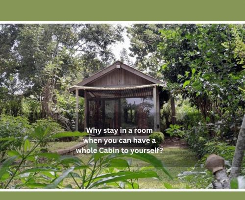 Sigiriya Apartment | Private Cabin and private Kitchen - Experience serenity, and beautiful nature