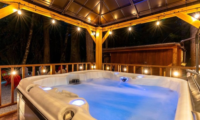 Paradise Estates Cabin | Private Cabin - HOT TUB, A/C, EV charger near Mt Rainier, Ashford WA