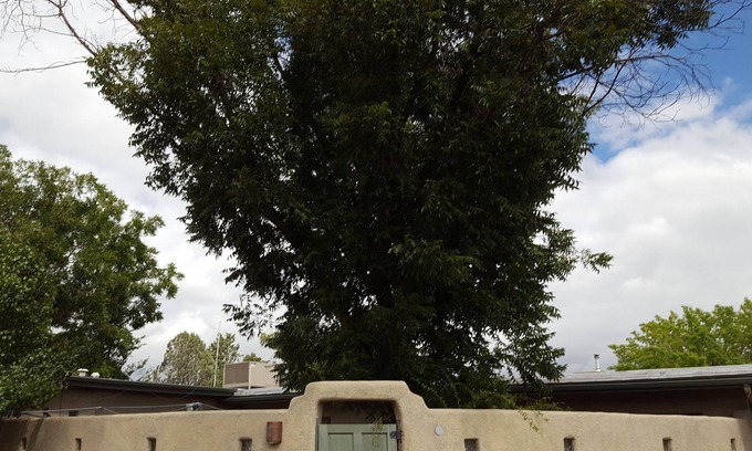 Los Griegos House | Private Entrance and Bath, 1 BR, Central N Valley. Wifi, Good Neighborhood