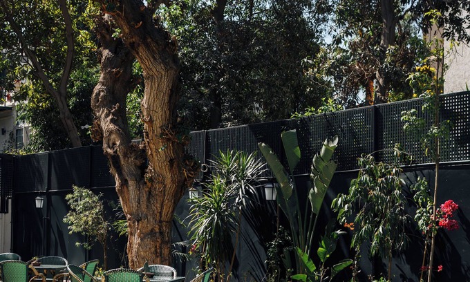 Maadi Villa | Private fully serviced villa in Maadi, with a private pool, kitchen and garden.