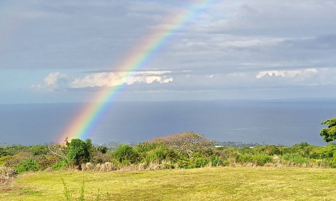 Holualoa House | Private Guest House minutes from town and beach!
