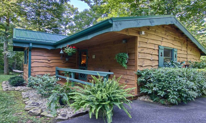 Candler Cabin | PRIVATE MOUNTAIN COUPLES GETAWAY. 16 MI TO ASHEVILLE. CREEK, HOT TUB, FIREPLACE