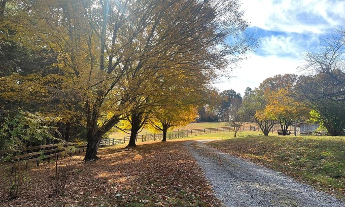 Lenoir City House | Private Peaceful Country Retreat