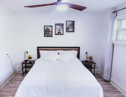 Sulphur Springs House | Private Suite near Busch Gardens Adventure Island USF and I-275