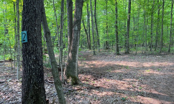 Beulah RV Rental | Private Wooded Campsite for Tents or Small RV's #3