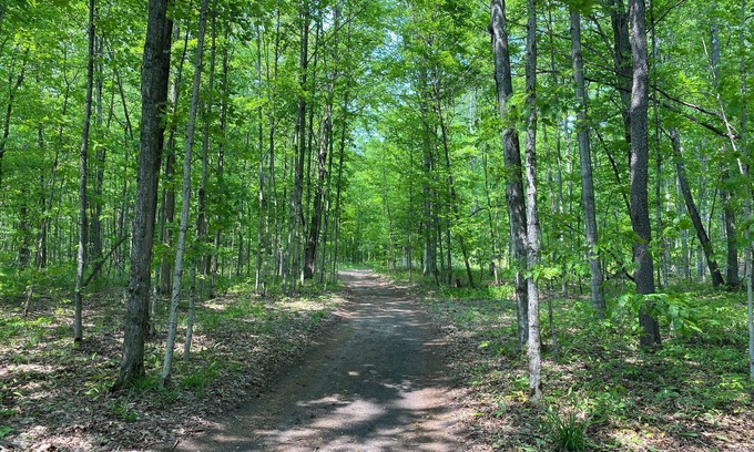 Benzonia RV Rental | Private Wooded Campsite for Tents or Small RV's #4