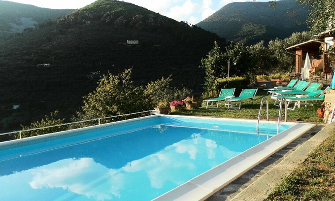Calci Apartment | Promotion Typical Tuscan house surrounded by olive trees