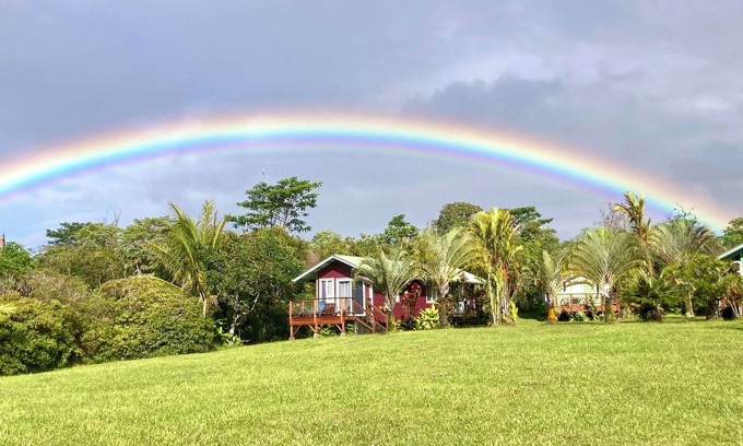 Pahoa Cottage | Puna Rainforest Retreat Hotspring - Purple Passion Cottage