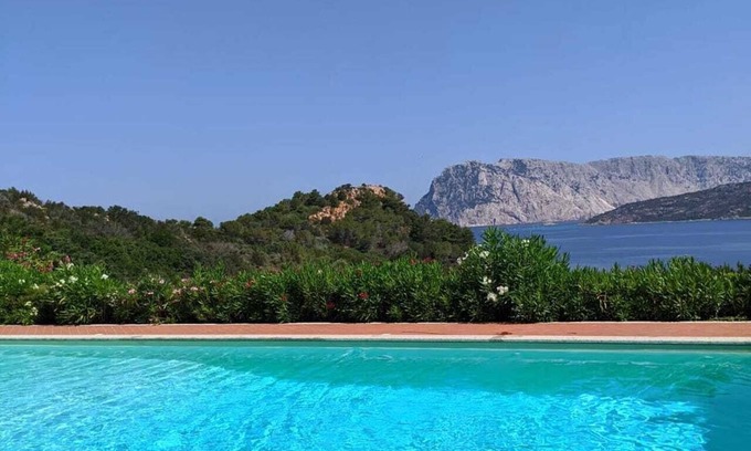 Capo Coda Cavallo Apartment | Puntaest Quadrilocale Terrazza Favolosa Vista Mare