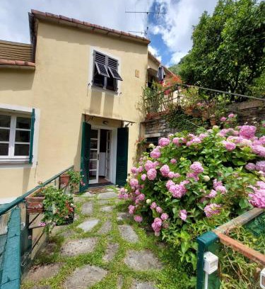 Sori Apartment | Pupetta Garden