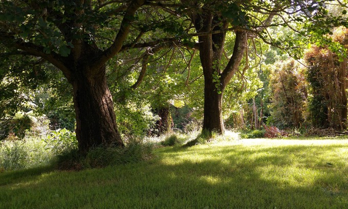 Katikati House | Purple Hen Country Lodge