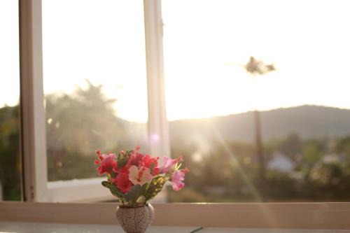 Duong Dong House | Purple Place Homestay Phu Quoc