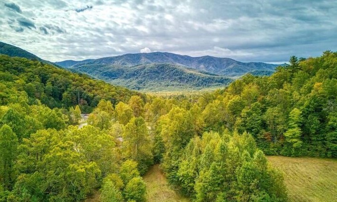 Cosby Cottage | Queens Quarters- Pickleball Court, Creek, WIFI, Mountain Views, Starting at $79"