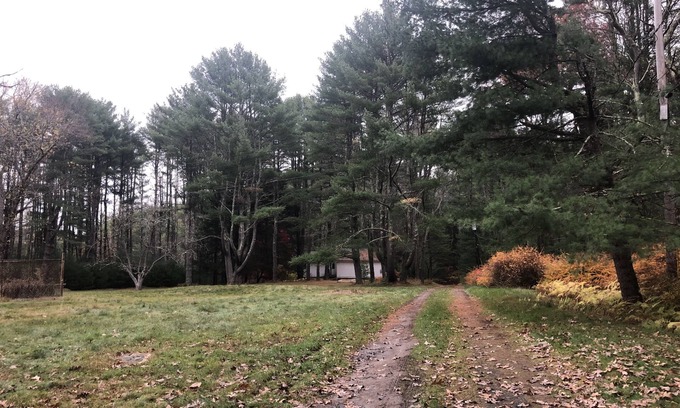Forestburgh House | Quiet 4 Bedroom House with Lake Views on large field - perfect for family breaks