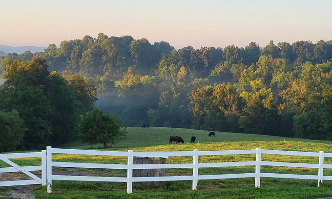 Edmonton Other | Quiet farm stay, hike, mushroom hunt, see the animals, relax, so much more!