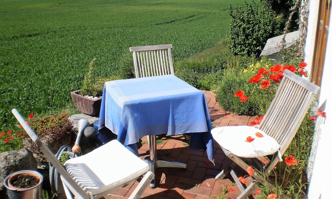 Uhldingen-Muehlhofen Apartment | quiet Lake Constance oasis in the countryside with cat care