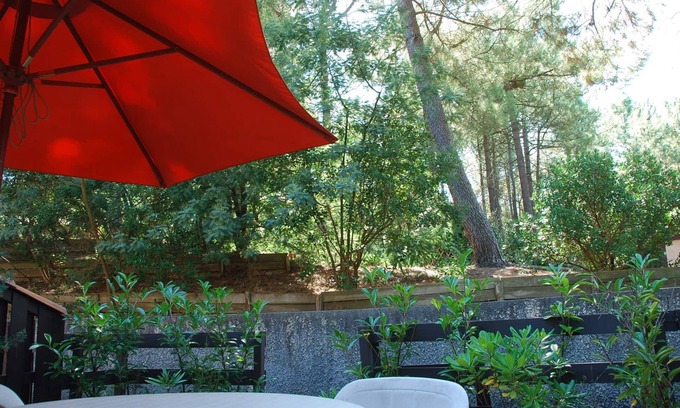 Lacanau-Ocean Cabin | Quiet pavilion among the pine trees very pleasant close to ocean