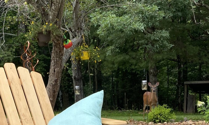 Sparta House | Quiet, tranquil and peaceful setting just steps from the Blue Ridge Parkway