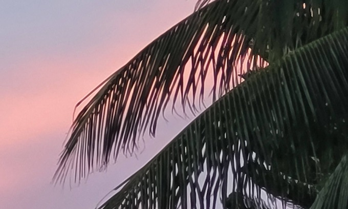 New Town House | Quintessential Keysie ADORABLE 2-bedroom house w/AC in Key West-1 Month Min Stay